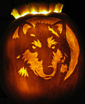 Mowgli's Pumpkin